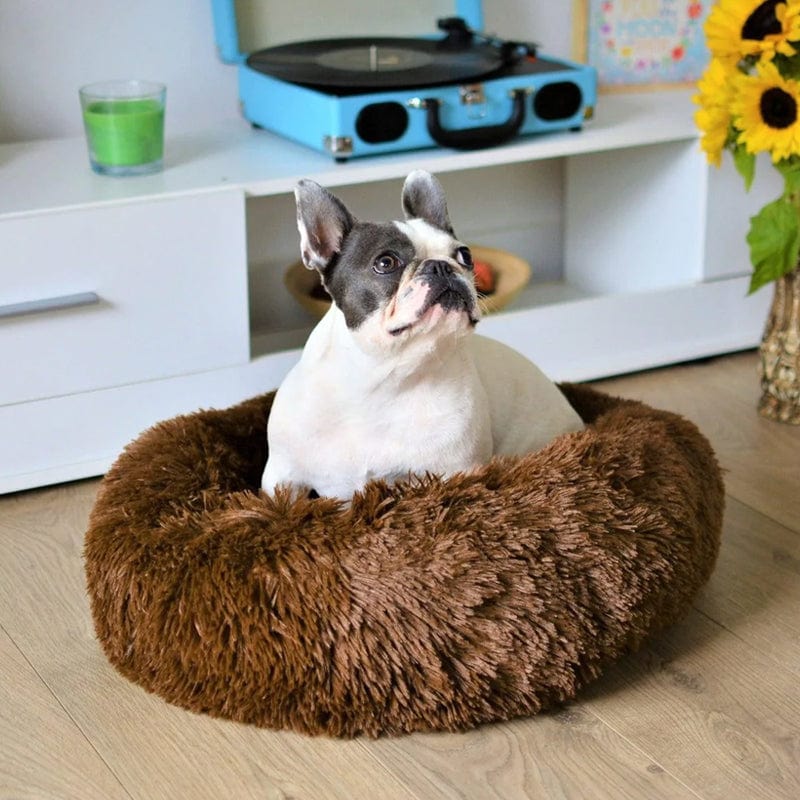 Voor ultrazacht FluffyNest hondenbed - Comfortabel en stijlvol ontwerp.
