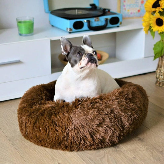 Voor ultrazacht FluffyNest hondenbed - Comfortabel en stijlvol ontwerp.