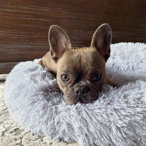 FluffyNest ultrazacht - Comfortabel hondenbed ontworpen voor ontspanning.