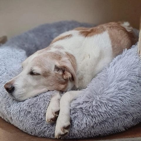 Comfort hondenbed FluffyNest - Ultrazacht en perfect voor koude dagen.