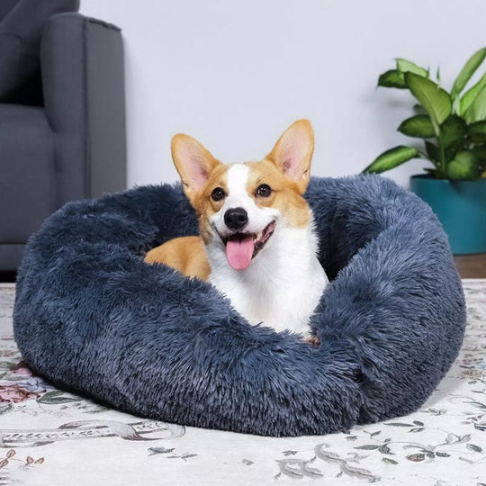 Voor FluffyNest comfortabel hondenbed - Ultrazacht en luxe ontworpen.