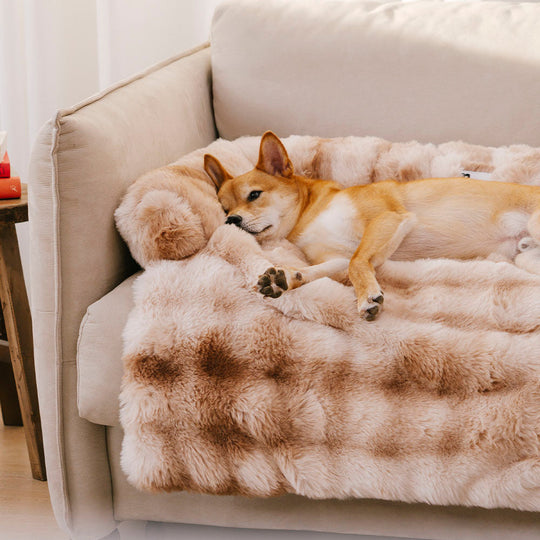 LunaPaws | Calming dog sleeping mat and sofa protection | Gray