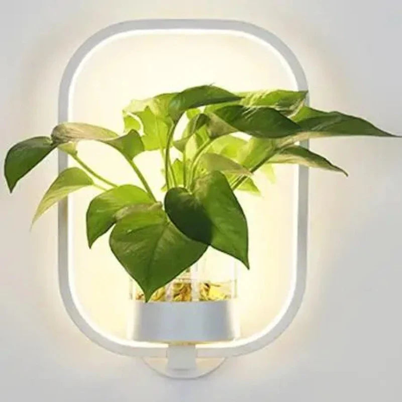 Unieke wandlamp met ruimte voor een plant, creëert een sfeervolle en natuurlijke ambiance.