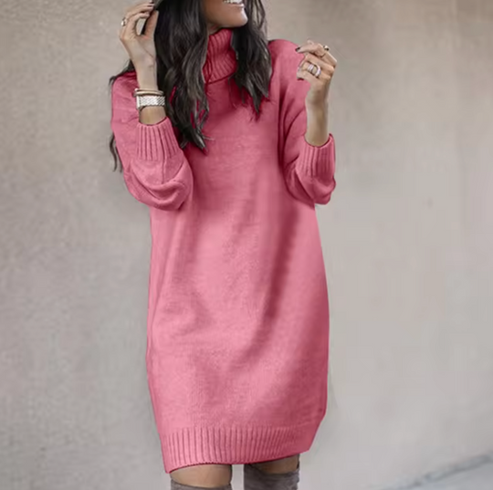 Nadine | Stylish turtleneck dress