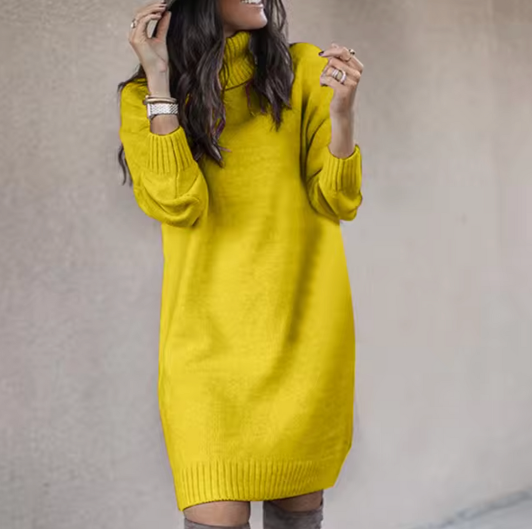 Nadine | Stylish turtleneck dress