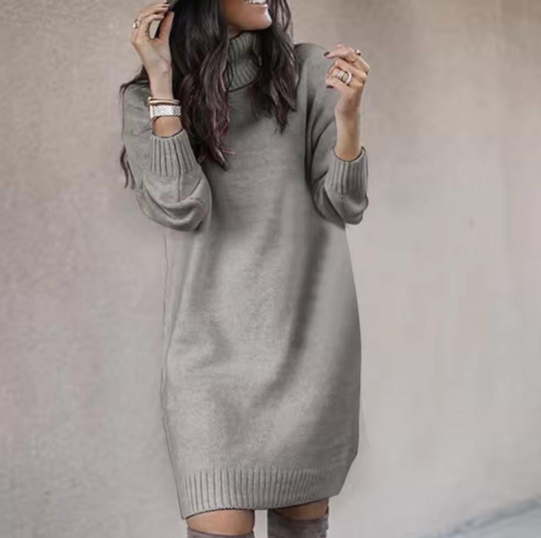 Nadine | Stylish turtleneck dress