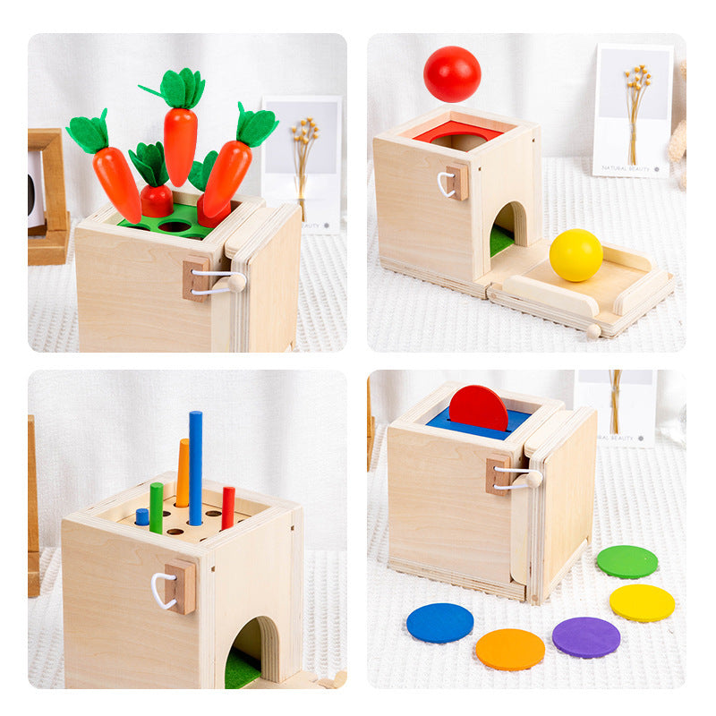 BabyGenius Montessori voorwerpendoos, ideaal voor jonge kinderen om objecten te herkennen en te verkennen.

