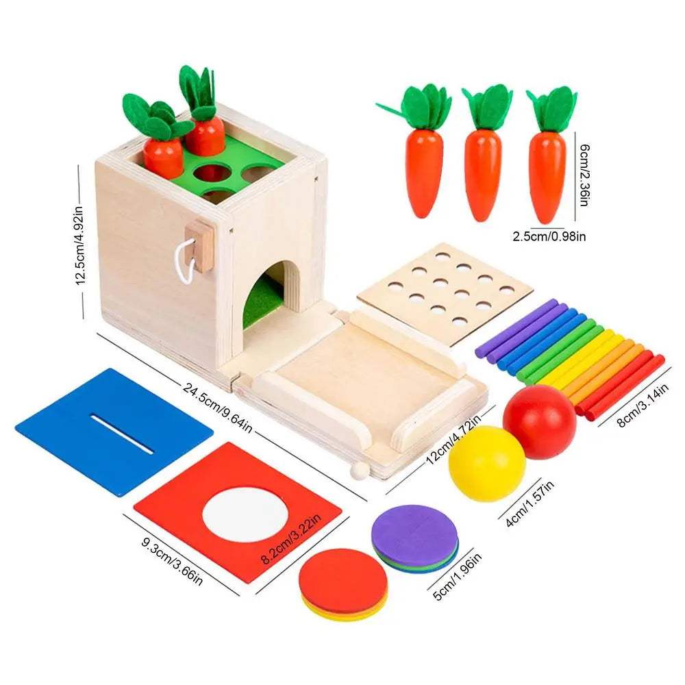 BabyGenius voorwerpendoos voor kinderen, perfect voor hands-on leren en ontdekking.
