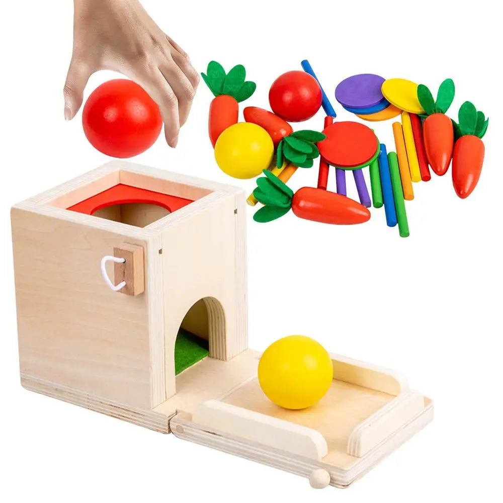 BabyGenius Montessori doos voor kinderen, ontworpen om de fijne motoriek en het probleemoplossend vermogen te stimuleren.
