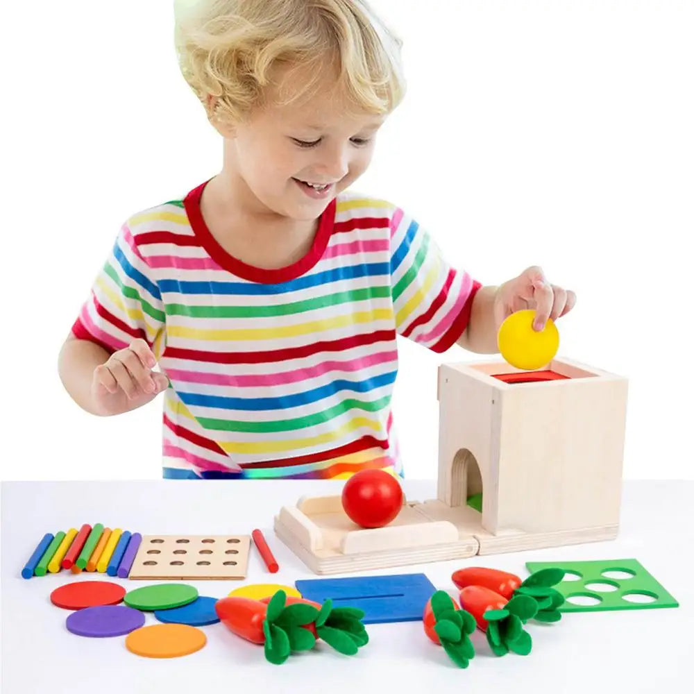 BabyGenius educatieve voorwerpendoos, helpt kinderen bij het ontwikkelen van hun zintuiglijke en cognitieve vaardigheden.
